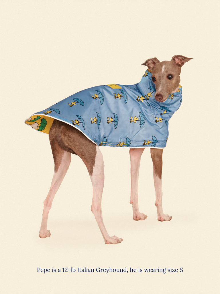 Little Beast Dog Raincoat Snoopy and Woodstock Raincoat - Yellow / Blue