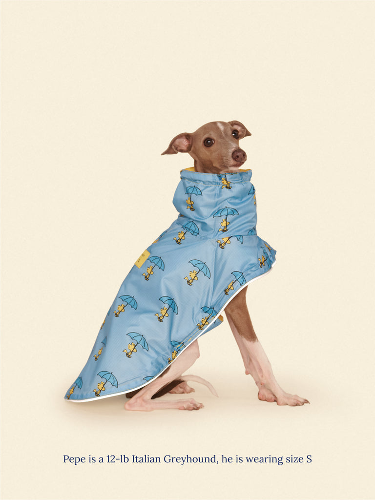 Little Beast Dog Raincoat Snoopy and Woodstock Raincoat - Yellow / Blue