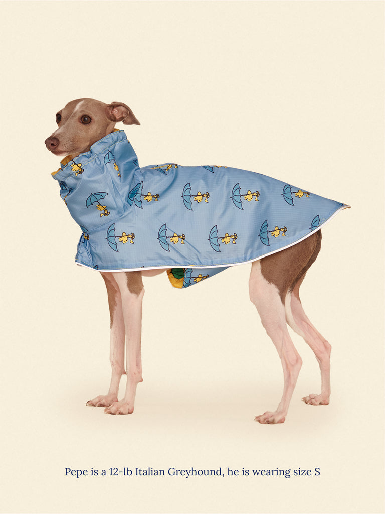 Little Beast Dog Raincoat Snoopy and Woodstock Raincoat - Yellow / Blue