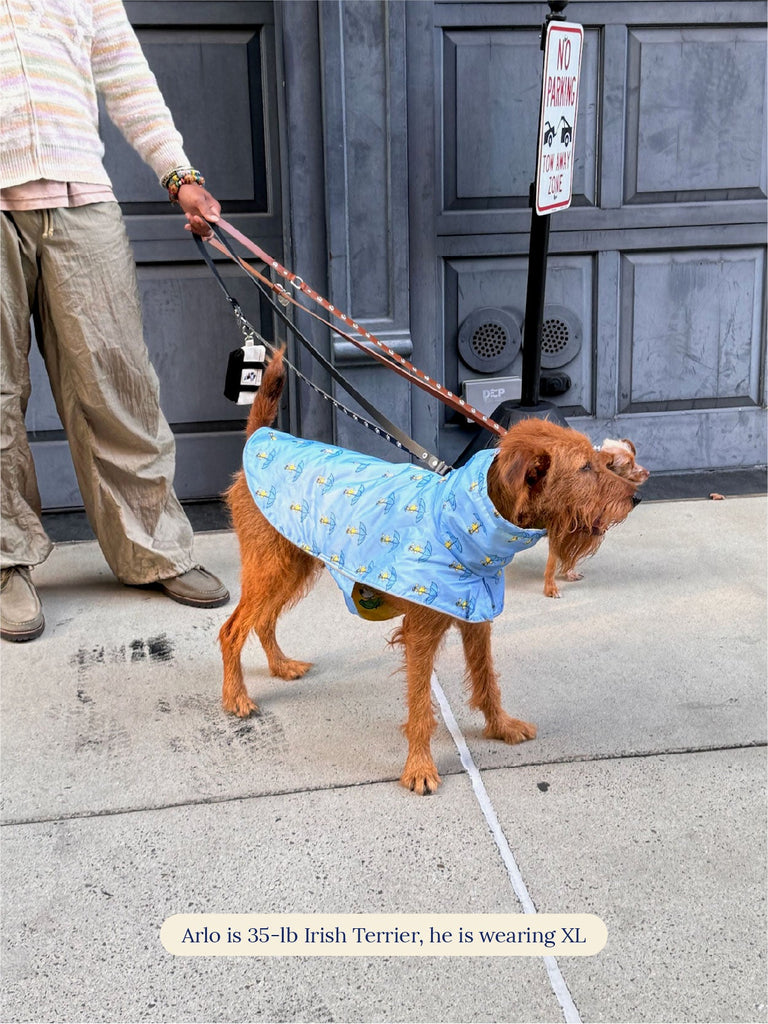 Little Beast Dog Raincoat Snoopy and Woodstock Raincoat - Yellow / Blue