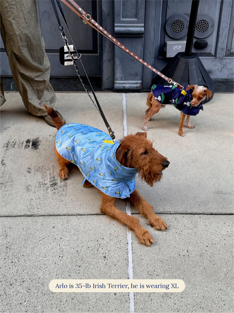 Little Beast Dog Raincoat Snoopy and Woodstock Raincoat - Yellow / Blue