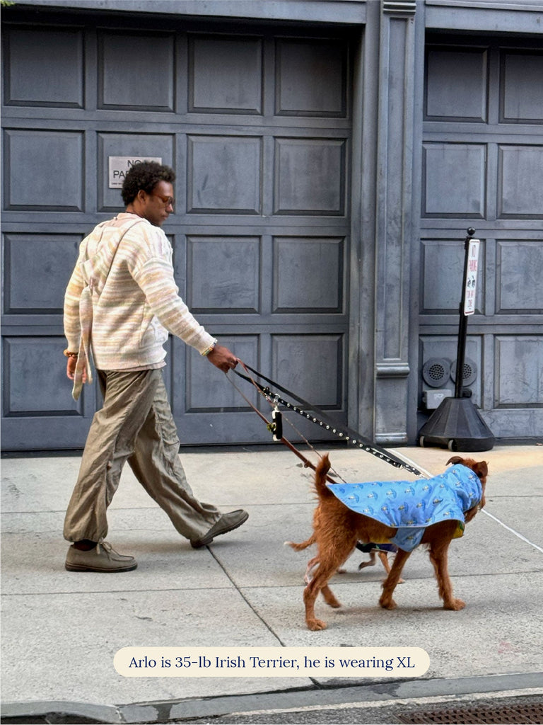 Little Beast Dog Raincoat Snoopy and Woodstock Raincoat - Yellow / Blue