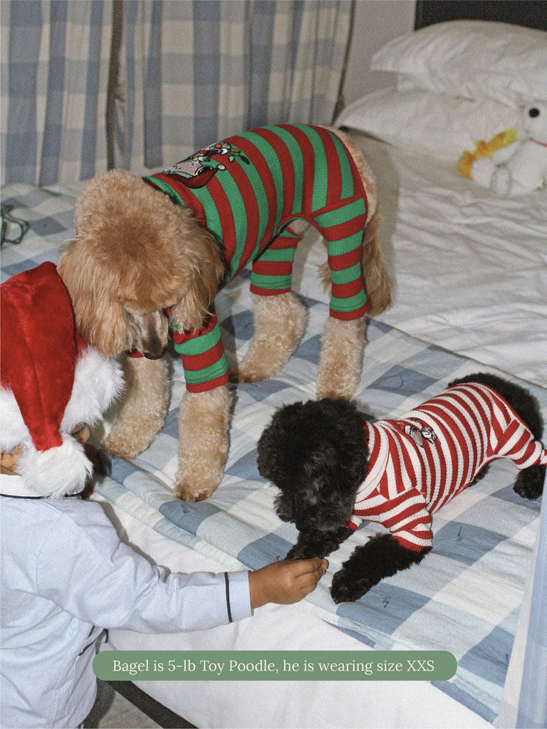 Little Beast Dog Stripe Onesie Snoopy & Woodstock Stripe Onesie