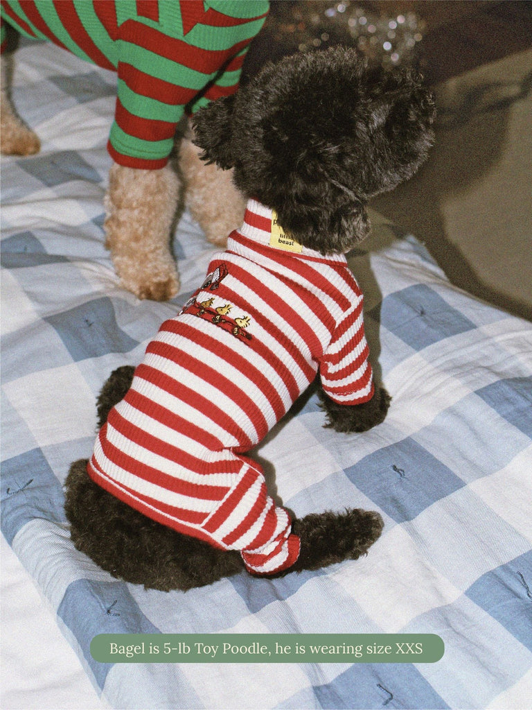 Little Beast Dog Stripe Onesie Snoopy & Woodstock Stripe Onesie