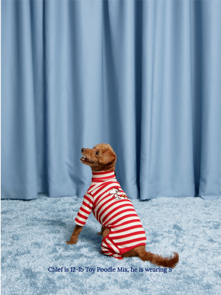 Little Beast Dog Stripe Onesie Snoopy & Woodstock Stripe Onesie - PEANUTS