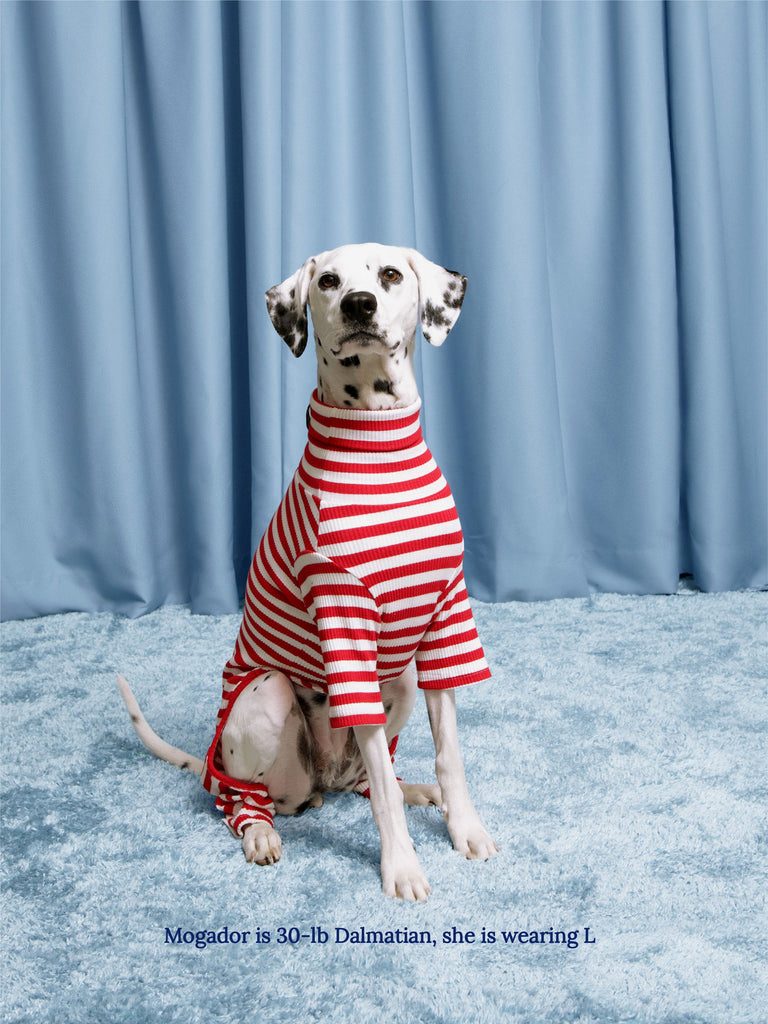 Little Beast Dog Stripe Onesie Snoopy & Woodstock Stripe Onesie - PEANUTS