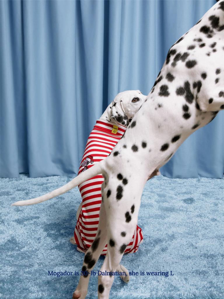 Little Beast Dog Stripe Onesie Snoopy & Woodstock Stripe Onesie - PEANUTS