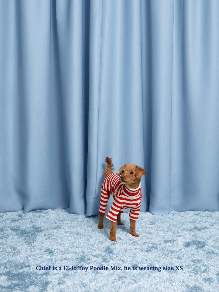 Little Beast Dog Stripe Onesie Snoopy & Woodstock Stripe Onesie - PEANUTS