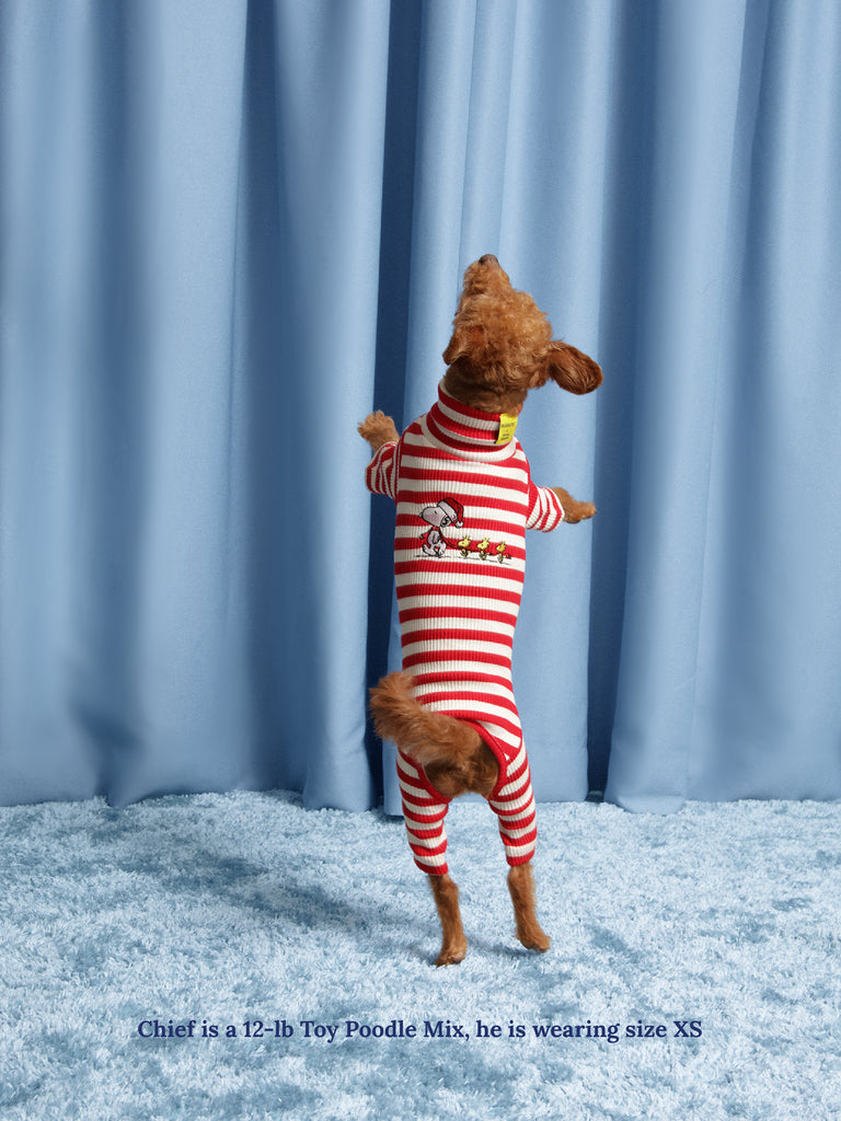 Little Beast Dog Stripe Onesie Snoopy & Woodstock Stripe Onesie - PEANUTS