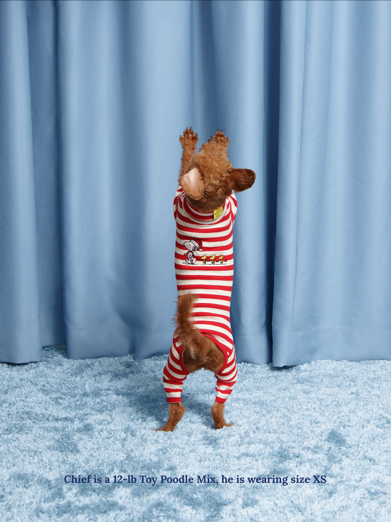 Little Beast Dog Stripe Onesie Snoopy & Woodstock Stripe Onesie - PEANUTS