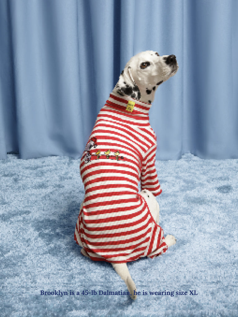 Little Beast Dog Stripe Onesie Snoopy & Woodstock Stripe Onesie - PEANUTS