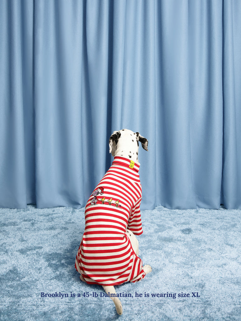 Little Beast Dog Stripe Onesie Snoopy & Woodstock Stripe Onesie - PEANUTS