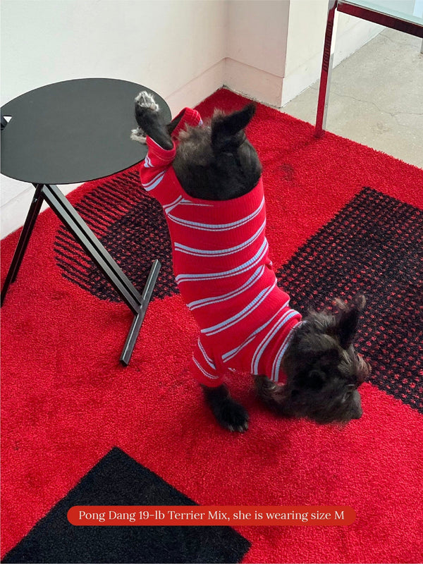 Little Beast Dog Onesie Star Shooter Onesie