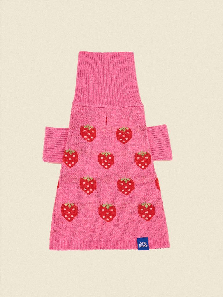 The Strawberry Sweater 🍓