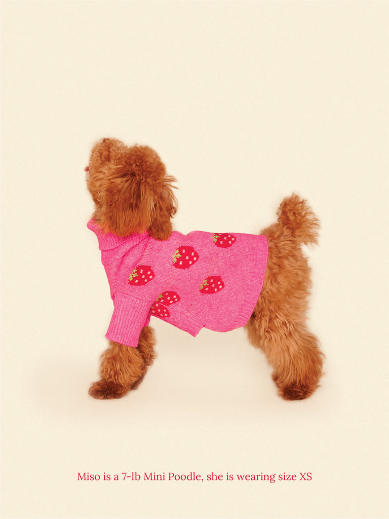 Little Beast Dog Sweater Strawberry Sweater 🍓