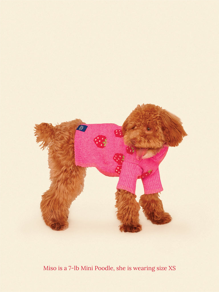 Little Beast Dog Sweater Strawberry Sweater 🍓