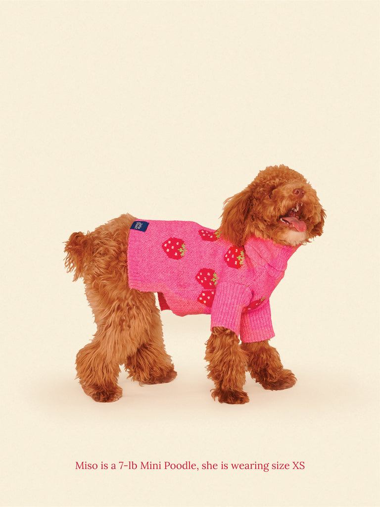 Little Beast Dog Sweater Strawberry Sweater 🍓