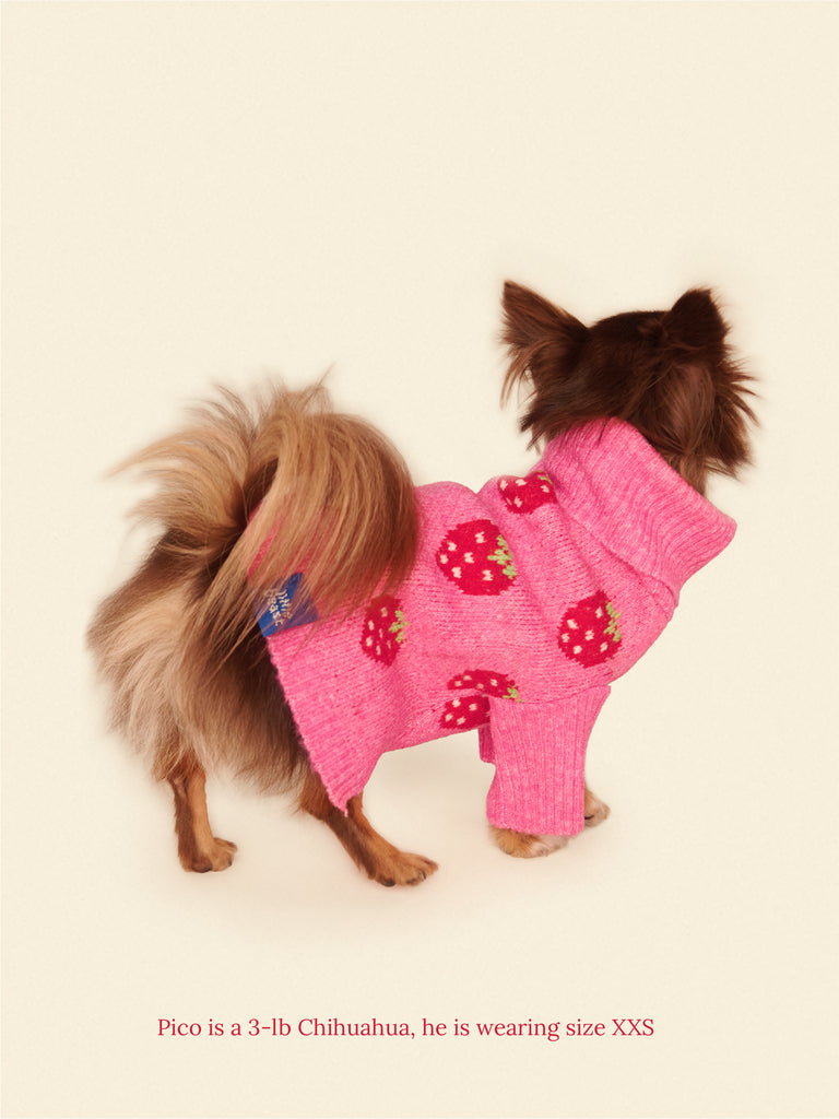Little Beast Dog Sweater Strawberry Sweater 🍓