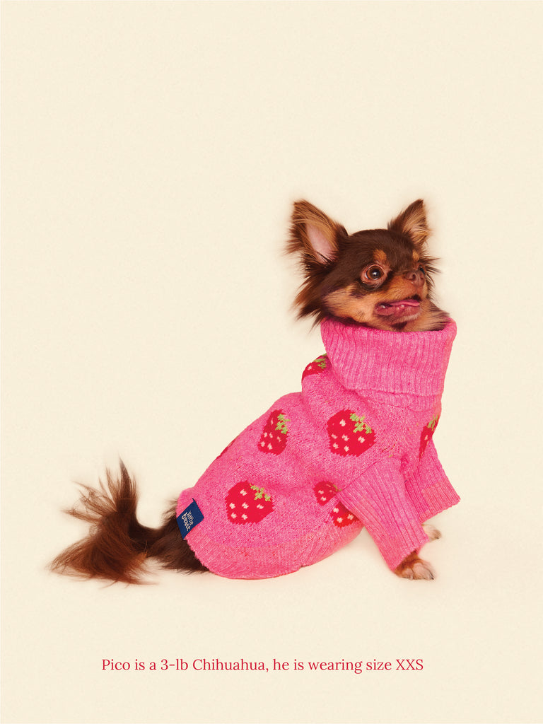 Little Beast Dog Sweater Strawberry Sweater 🍓