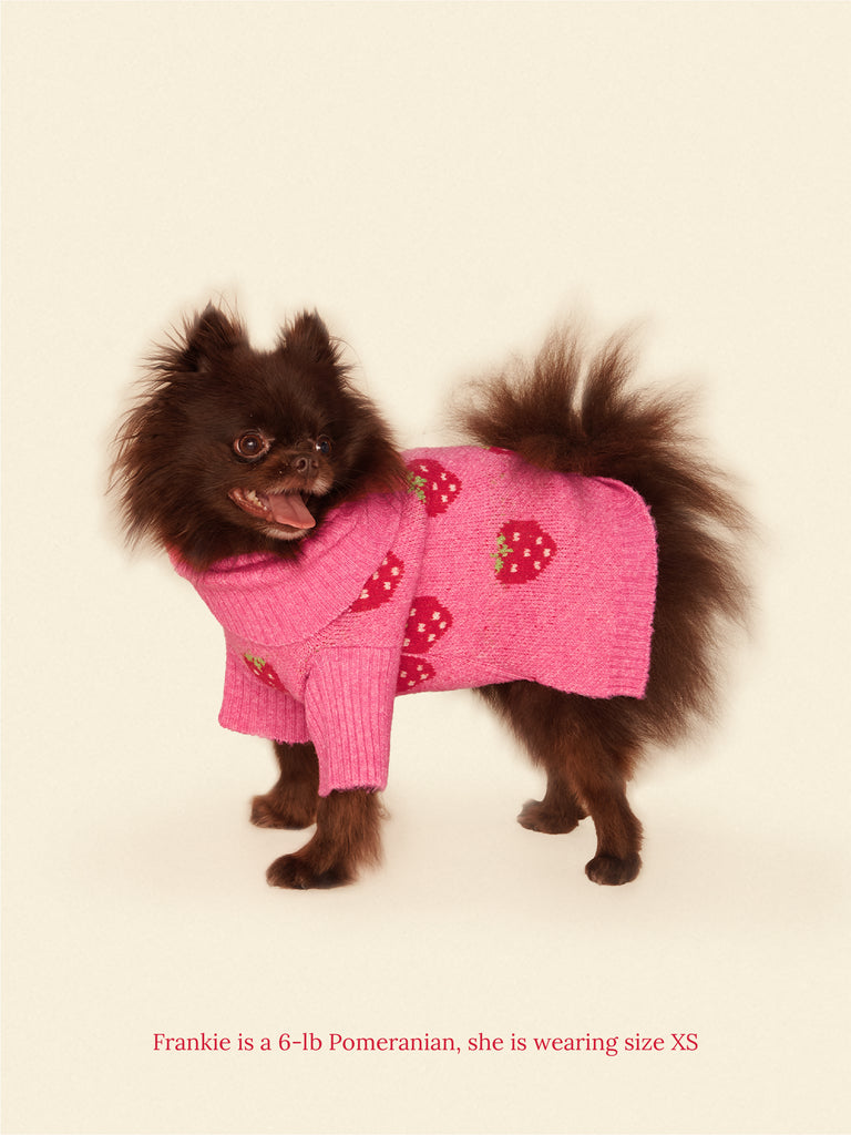 Little Beast Dog Sweater Strawberry Sweater 🍓