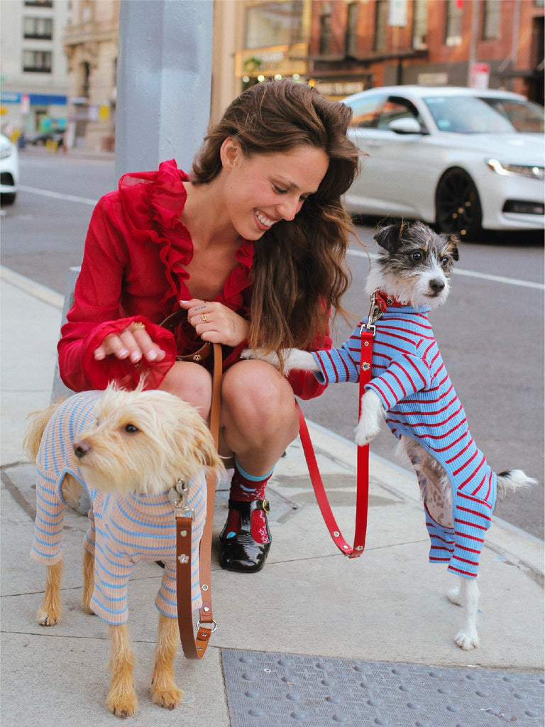 Little Beast Dog Onesie Student Loan Onesie