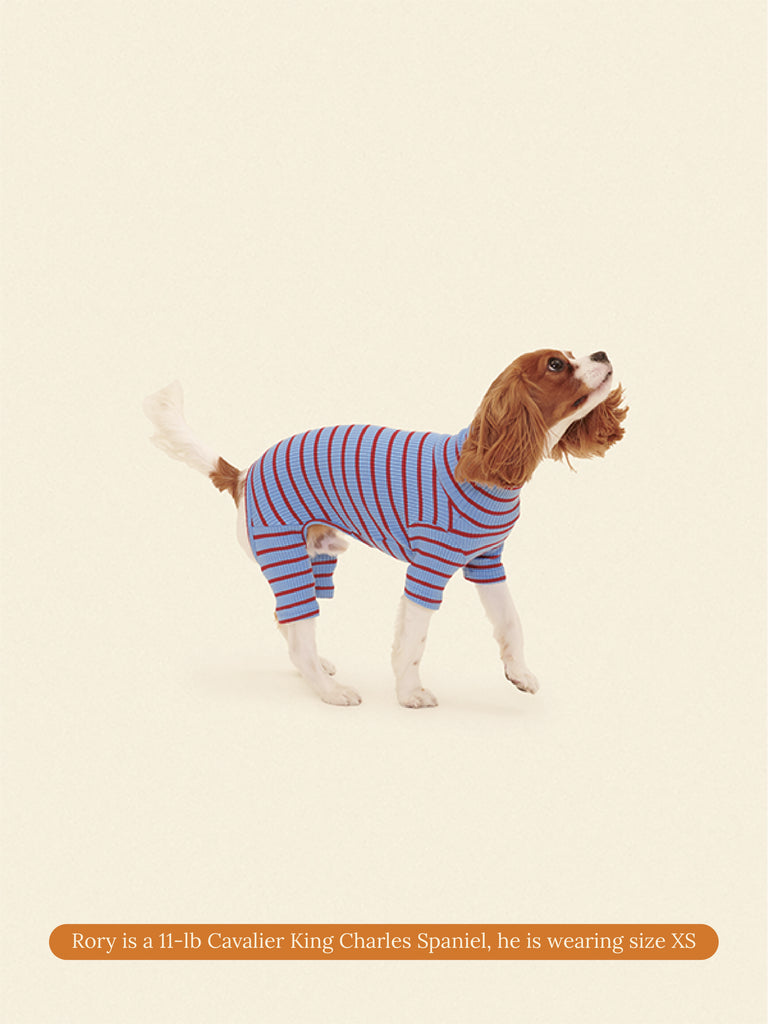 Little Beast Dog Onesie Student Loan Onesie