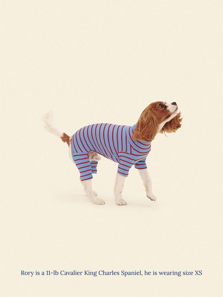 Little Beast Dog Onesie Student Loan Onesie