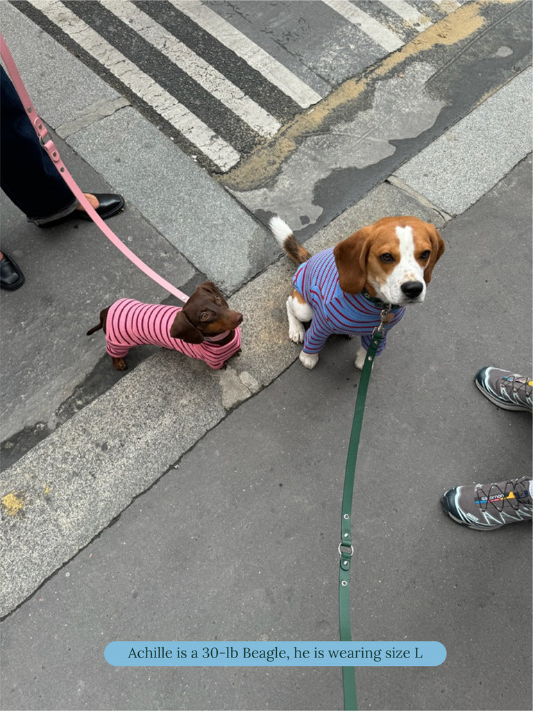 Little Beast Dog Shirt Student Loan Shirt