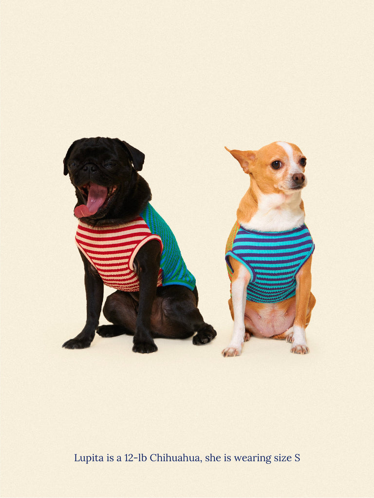 Little Beast Dog Sleeveless Shirt Surf and Turf Sleeveless Shirt