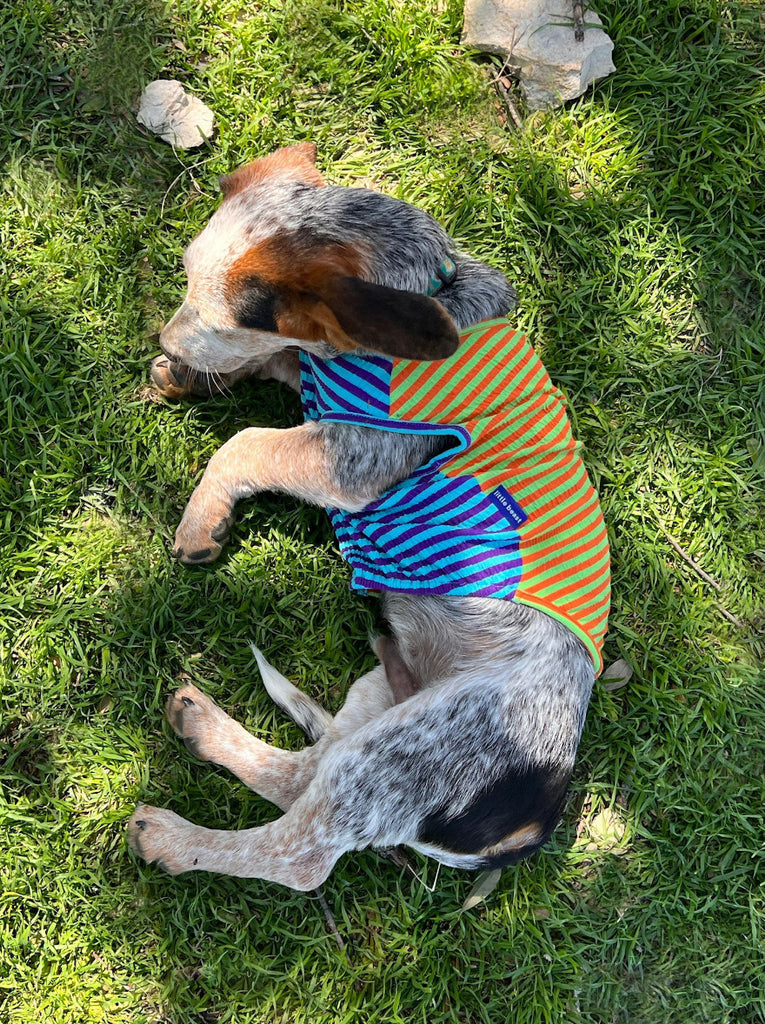 Little Beast Dog Sleeveless Shirt Surf and Turf Sleeveless Shirt