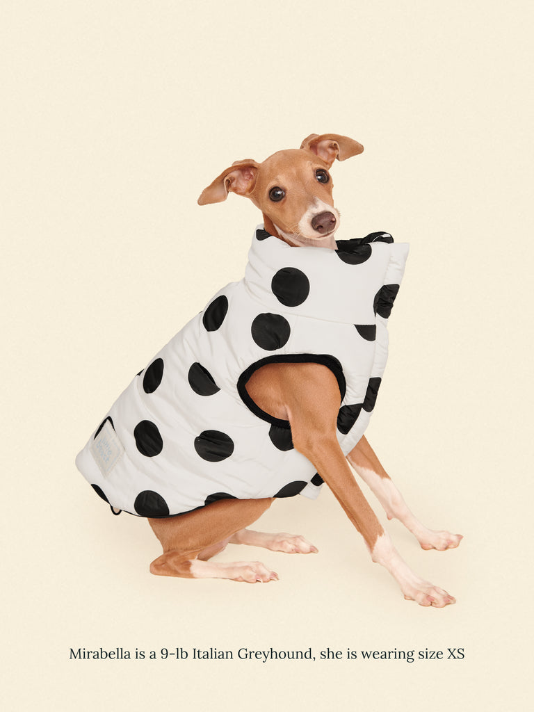 Little Beast Dog Parka The Betty Puffer Jacket