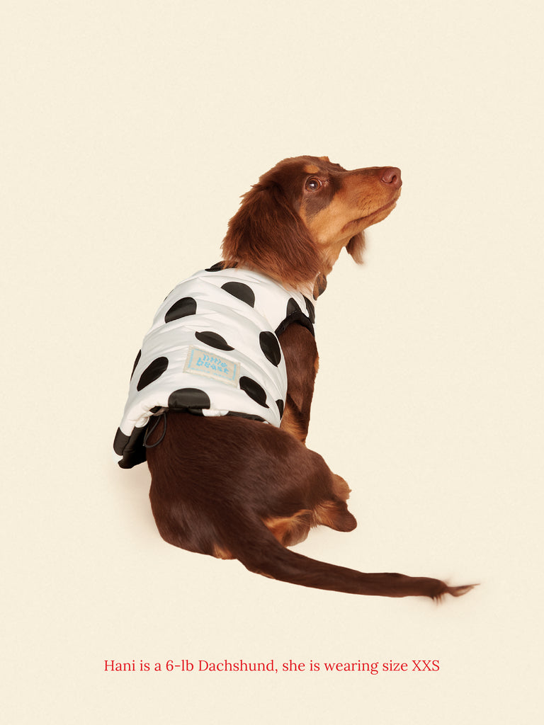 Little Beast Dog Parka The Betty Puffer Jacket