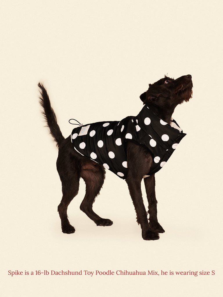 Little Beast Dog Parka The Betty Puffer Jacket