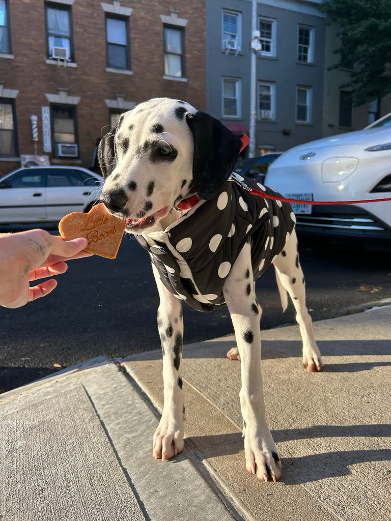 Little Beast Dog Parka The Betty Puffer Jacket