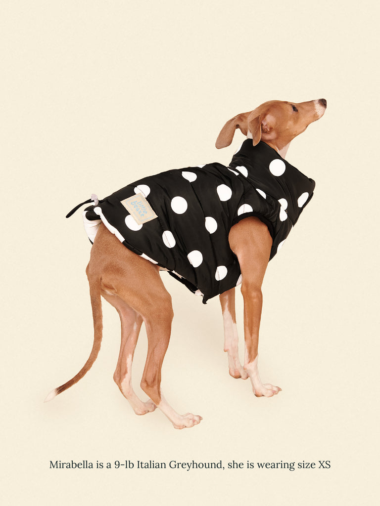 Little Beast Dog Parka The Betty Puffer Jacket