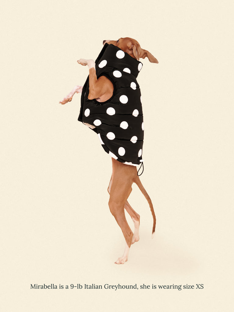 Little Beast Dog Parka The Betty Puffer Jacket