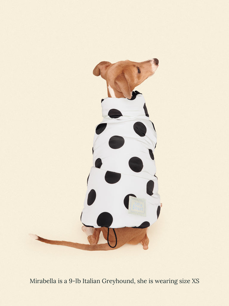 Little Beast Dog Parka The Betty Puffer Jacket