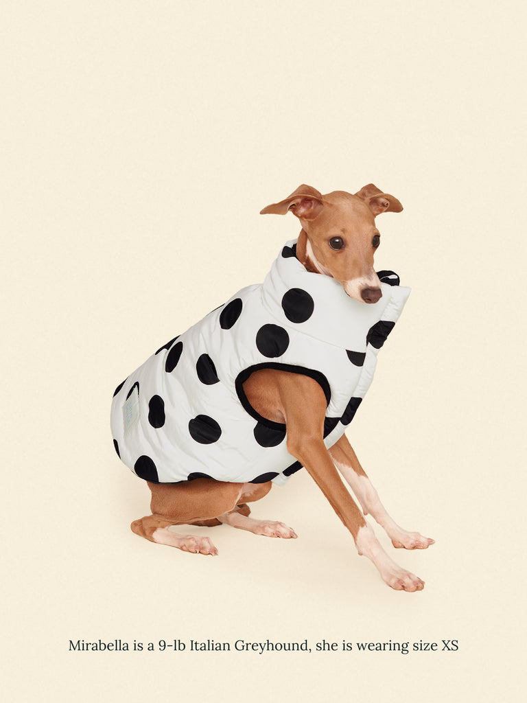 Little Beast Dog Parka The Betty Puffer Jacket