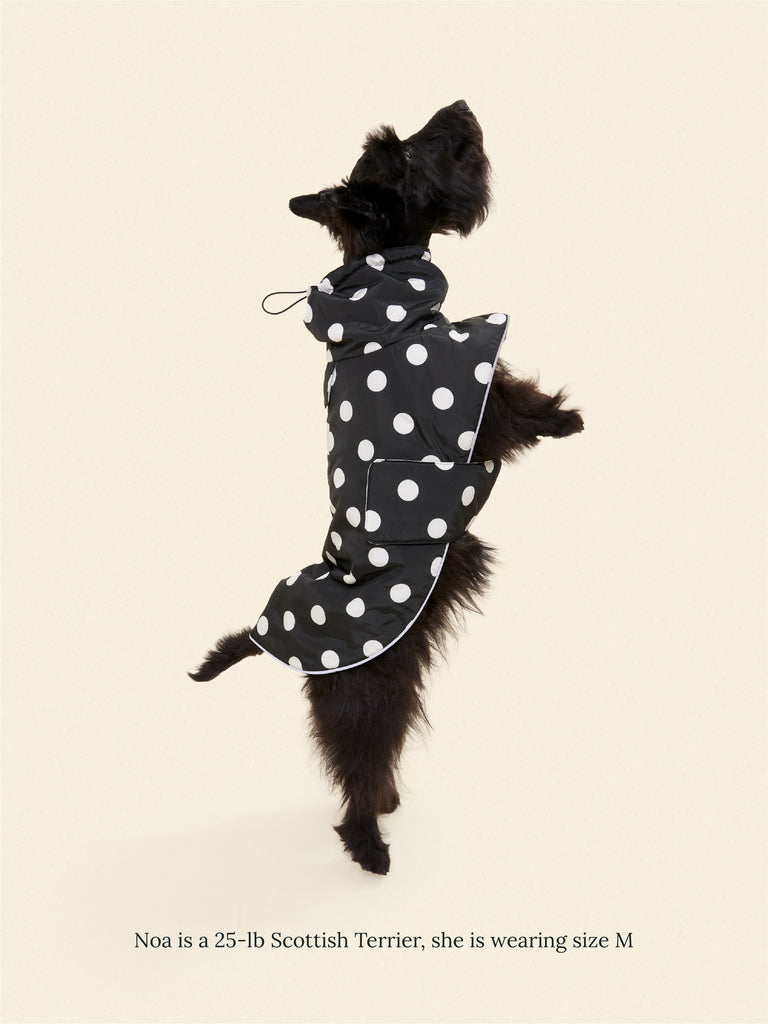 Little Beast Dog Parka The Betty Rain Jacket