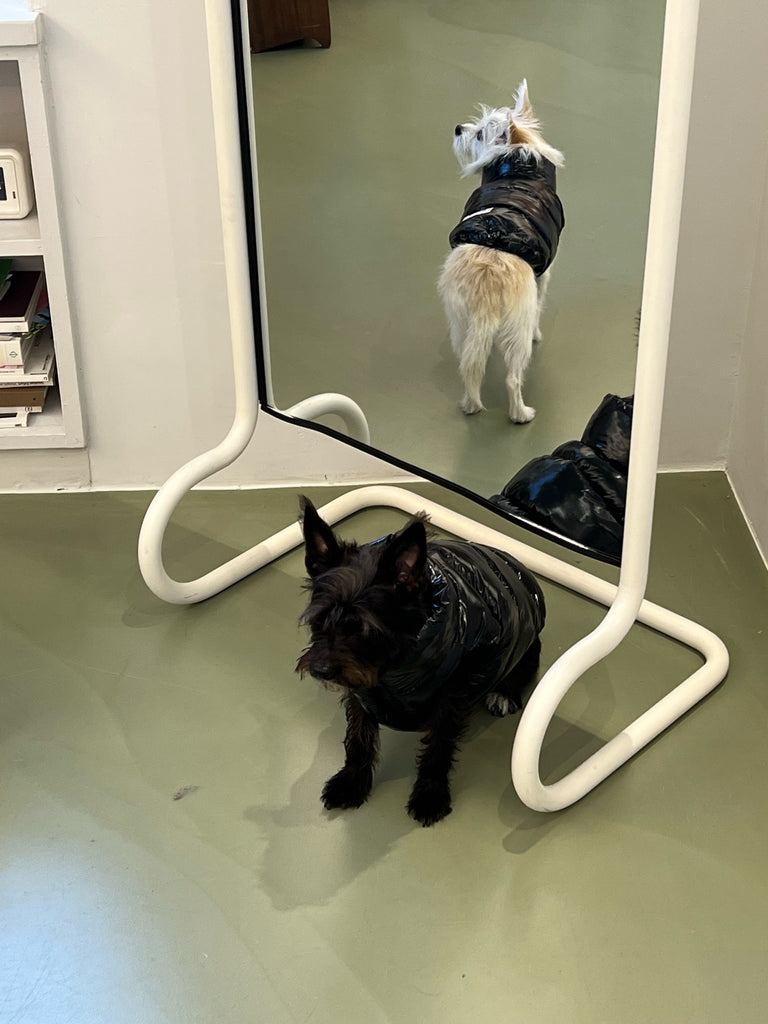 Little Beast Dog Parka The Big Black Puffer Jacket