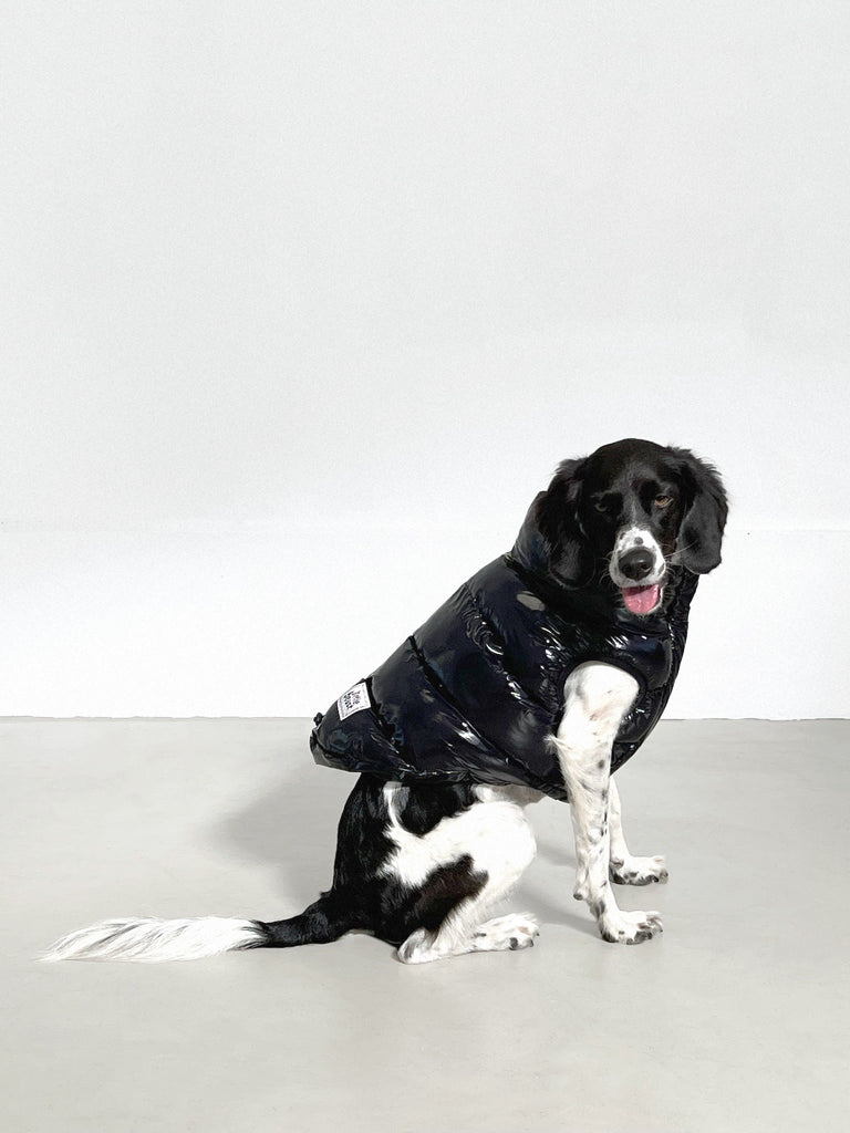 Little Beast Dog Parka The Big Black Puffer Jacket