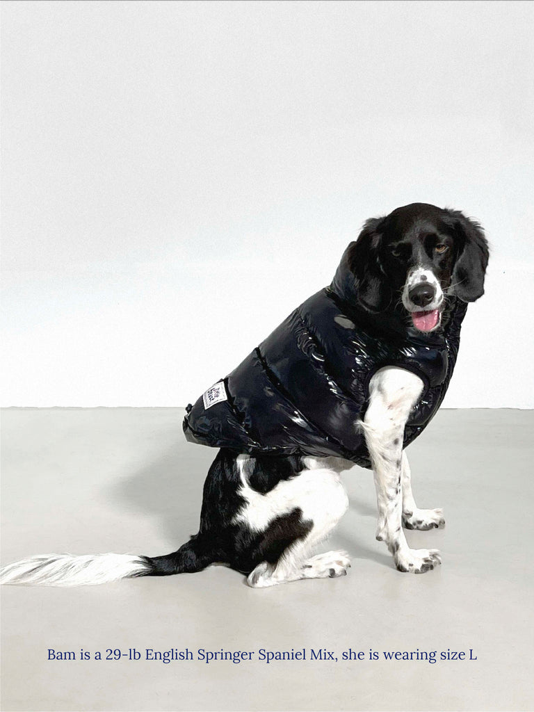 Little Beast Dog Parka The Big Black Puffer Jacket