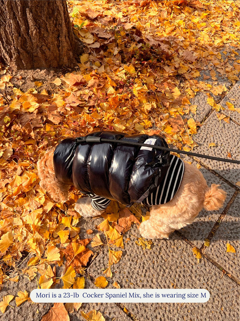 Little Beast Dog Parka The Big Black Puffer Jacket