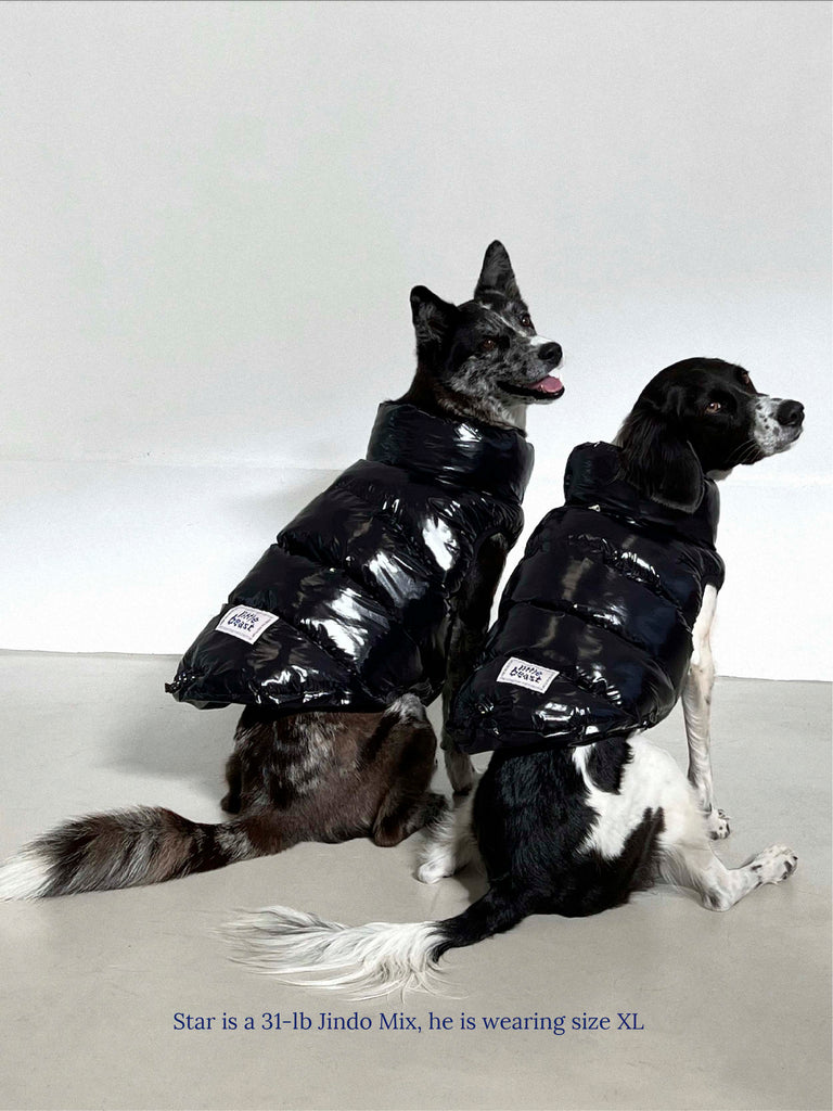 Little Beast Dog Parka The Big Black Puffer Jacket