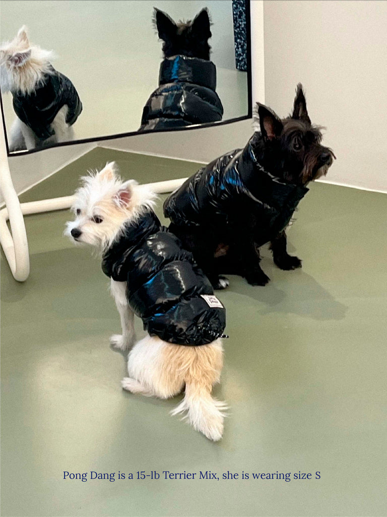 Little Beast Dog Parka The Big Black Puffer Jacket