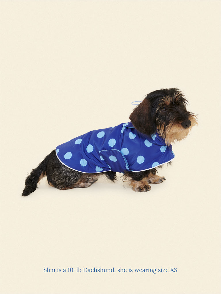 Little Beast Dog Parka The Blue Dot Rain Jacket
