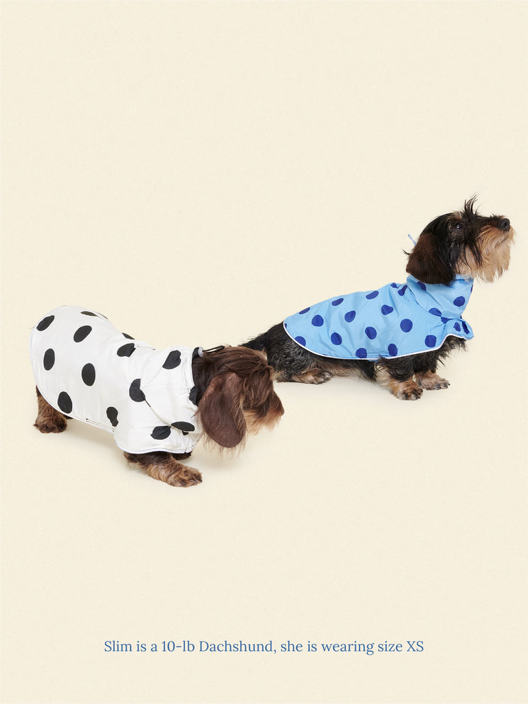 Little Beast Dog Parka The Blue Dot Rain Jacket