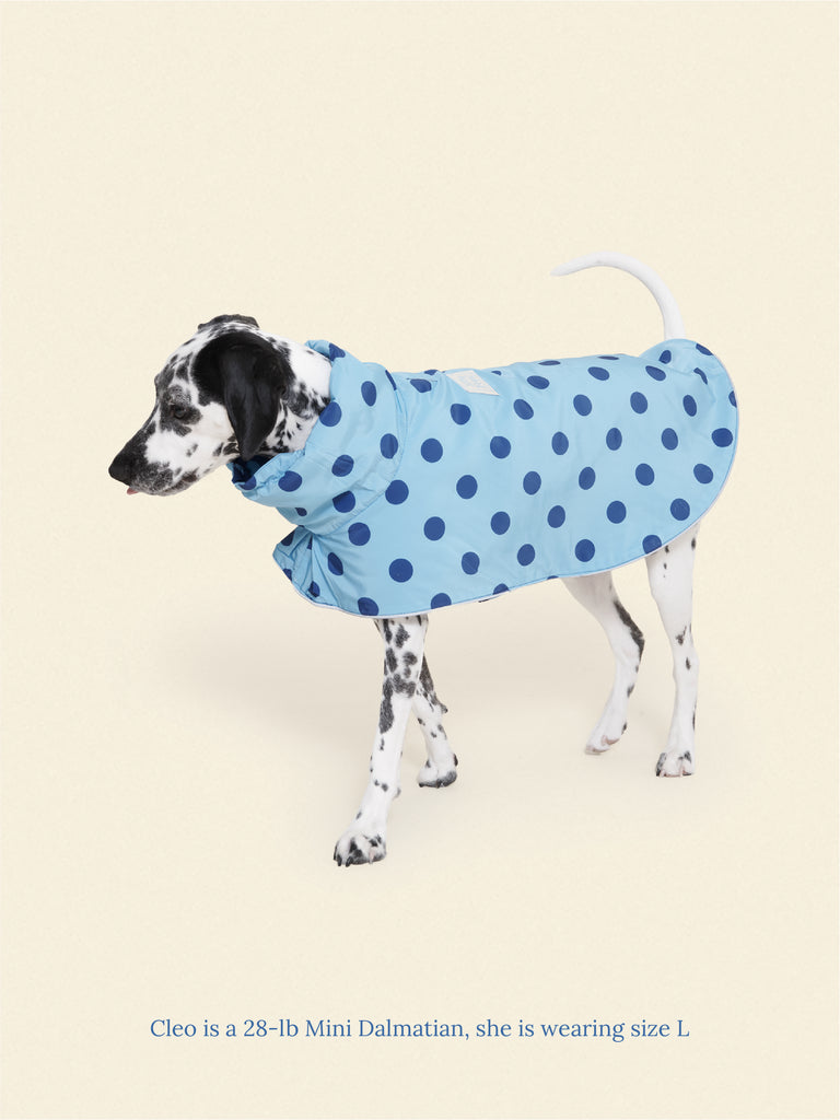 Little Beast Dog Parka The Blue Dot Rain Jacket