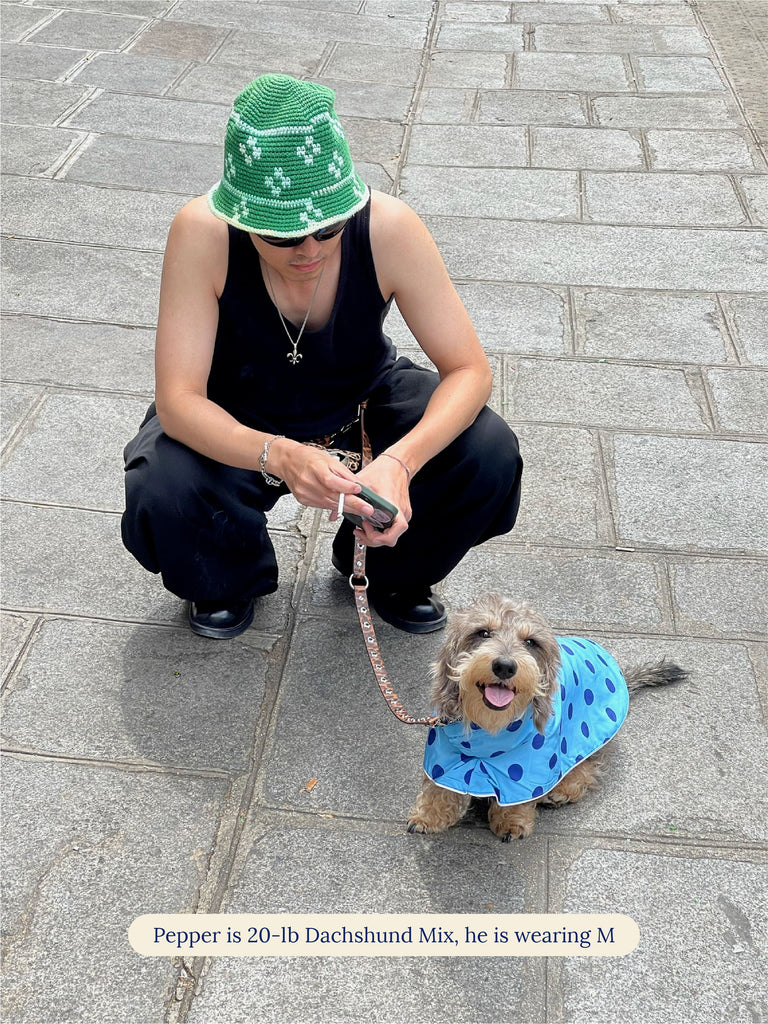 Little Beast Dog Raincoat The Blue Dot Raincoat