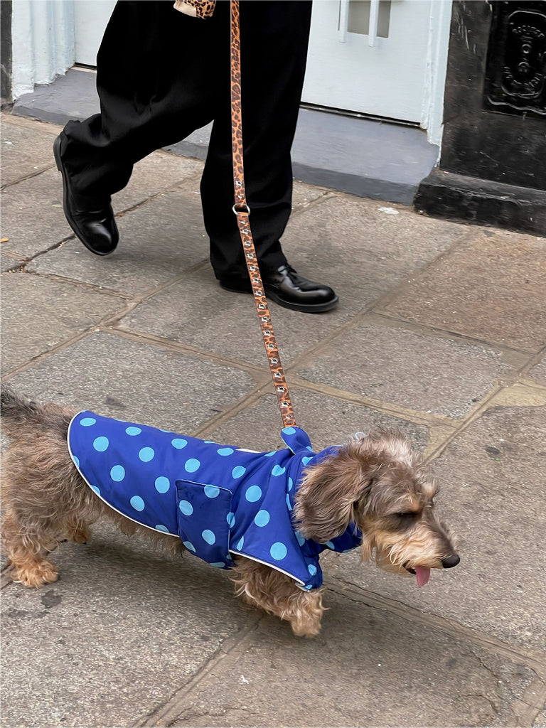 Little Beast Dog Raincoat The Blue Dot Raincoat